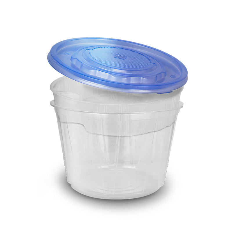 Cold Noodle Togo Plastic Container Box (100set)